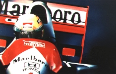 Senna.jpg (30240 bytes)