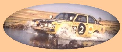 rally73.jpg (47593 byte)